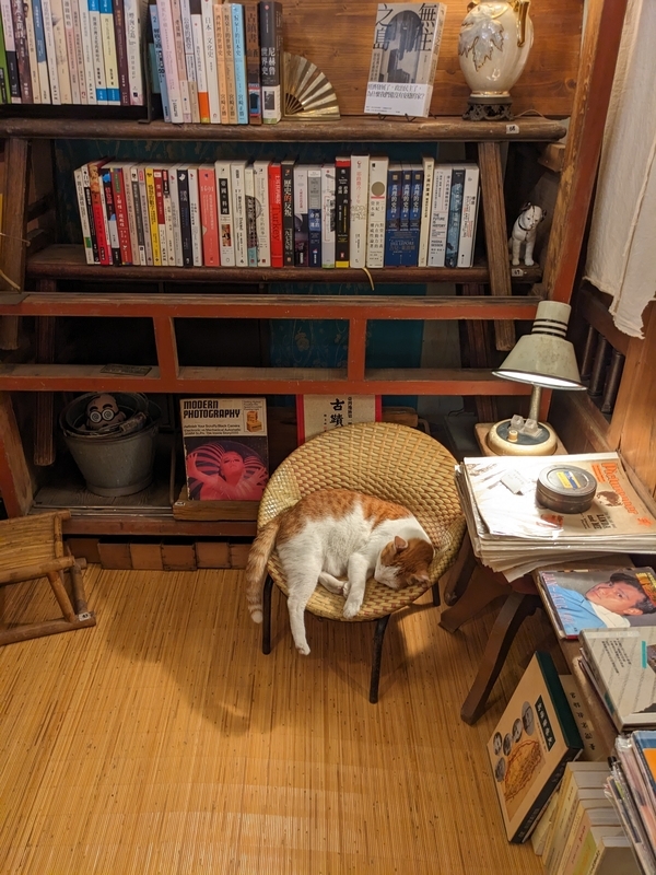 富興工廠1962でくつろぐ猫。台湾リノベ施設の和やかな雰囲気を象徴する存在