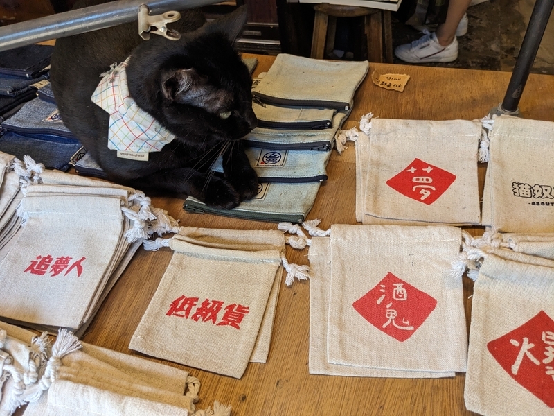 藍晒圖文創園区の人気店舗にいる看板ねこが佇む様子