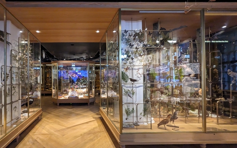 台湾の自然史をテーマにした展示スペース。