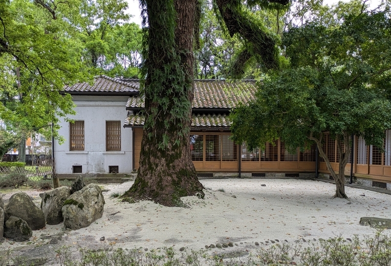 クスノキと枯山水 樹齢100年を超えるクスノキと枯山水の庭園。