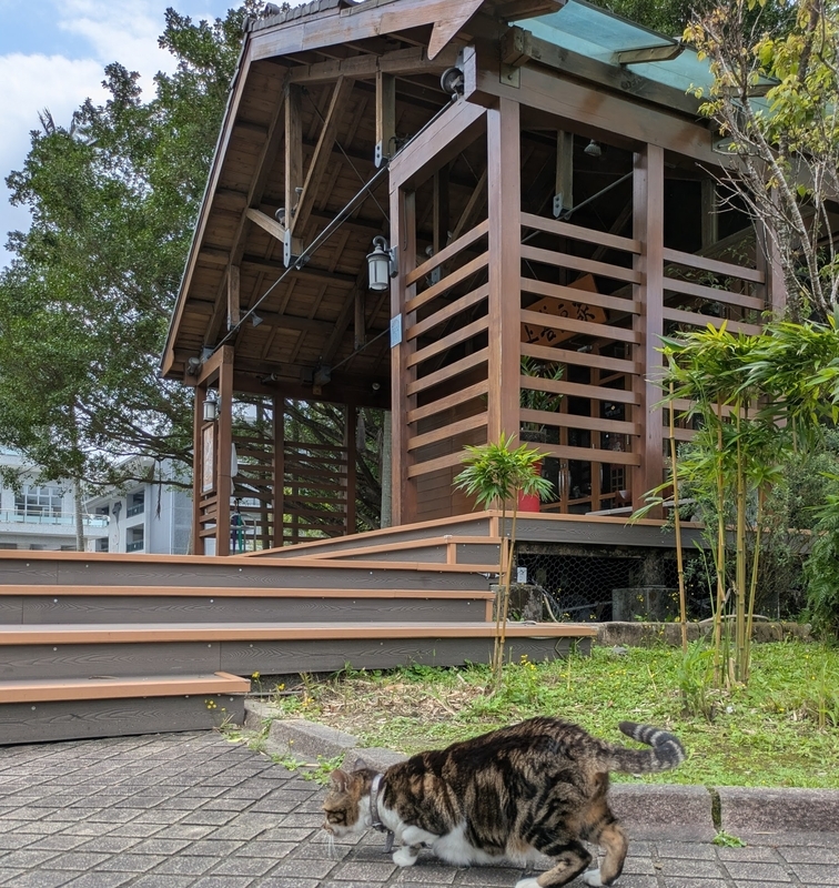 看板ネコ 看板ネコが出迎えてくれる様子。